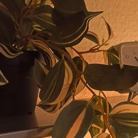 Sunset Lovers - Wifi - Netflix * ナンシー