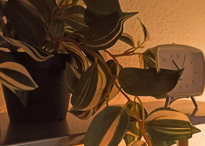 Sunset Lovers - Wifi - Netflix * ナンシー